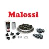 Variatore Malossi Tmax Multivar mhr next 2004 2011